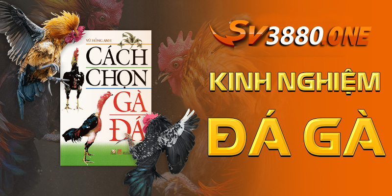 Cách đăng nhập SV3880